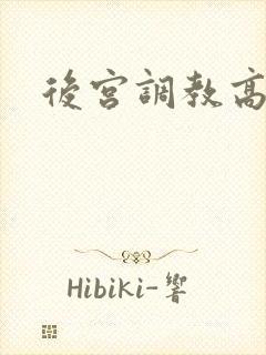 后宫调教高h文