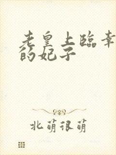 老皇上临幸年轻的妃子