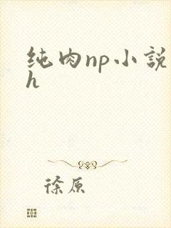 纯肉np小说高h