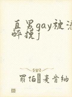 直男gay被灌醉摸j封面