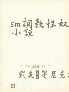 sm调教性奴隶小说