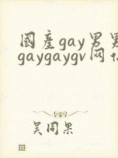 国产gay男男gaygaygv网站封面