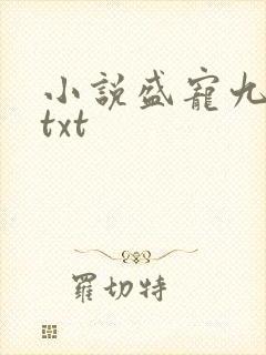 小说盛宠九皇妃txt