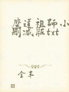 魔道祖师小说无删减版txt封面