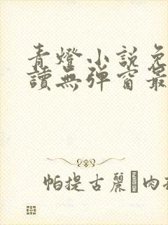 青灯小说免费阅读无弹窗最新章节封面