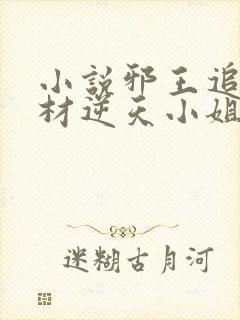 小说邪王追妻废材逆天小姐