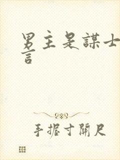 男主是谋士的古言