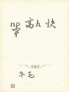 np 高h 快穿