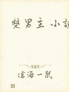 双男主 小说h封面