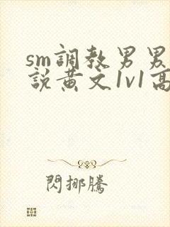 sm调教男男小说黄文1v1高h强制