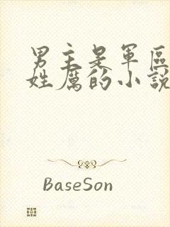 男主是军区首长姓厉的小说