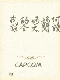 我的妈妈何欣小说全文阅读