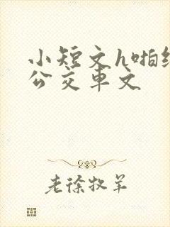 小短文h啪纯肉公交车文封面