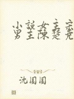 小说女主宋清禾男主陈楚尧