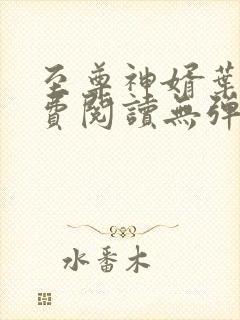 至尊神婿叶昊免费阅读无弹窗