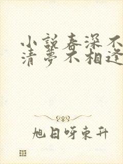 小说春深不归客清梦不相逢免费阅读封面