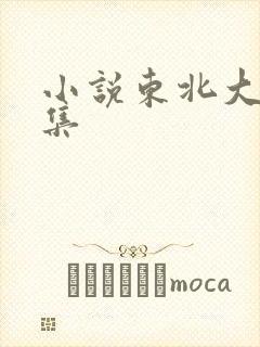 小说东北大炕全集封面