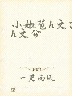 小嫩苞h文高辣h文公