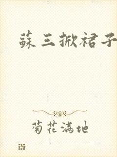 苏三掀裙子封面