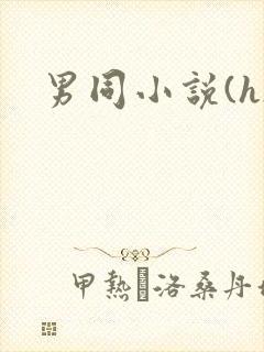 男同小说(h)封面