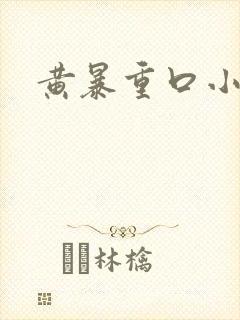 黄暴重口小说封面