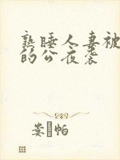 熟睡人妻被讨厌的公夜袭