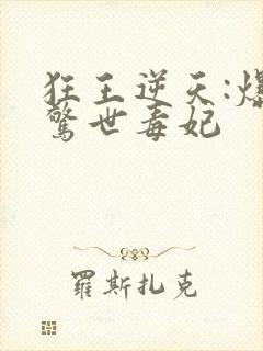 狂王逆天:爆宠惊世毒妃