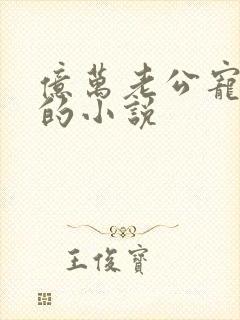 亿万老公宠上天的小说封面