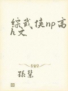 综武侠np高辣h文