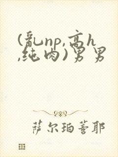 (乱np,高h,纯肉)男男