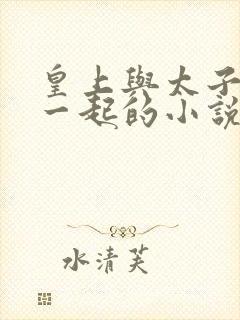 皇上与太子妃在一起的小说