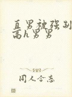 直男被强制c哭高h男男