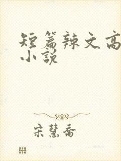短篇辣文高h文小说
