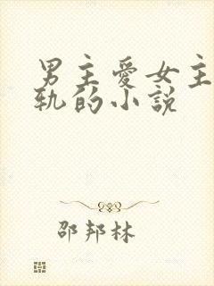 男主爱女主却出轨的小说