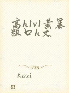 高h1v1黄暴粗口h文封面