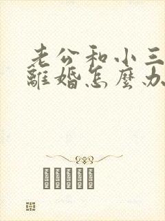 老公和小三逼我离婚怎么办