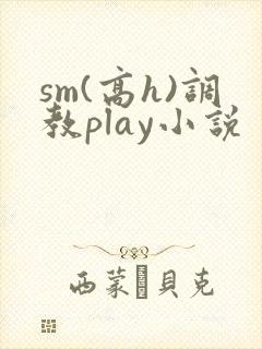 sm(高h)调教play小说