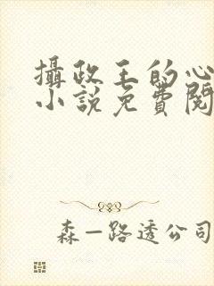 摄政王的心上娇小说免费阅读