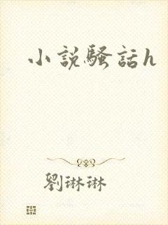 小说骚话h