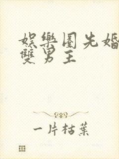 娱乐圈先婚后爱双男主