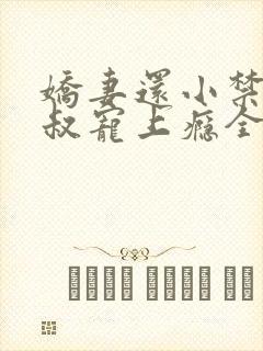 娇妻还小禁欲大叔宠上瘾全文阅读