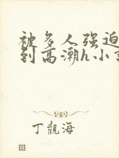 被多人强迫玩弄到高潮h小说