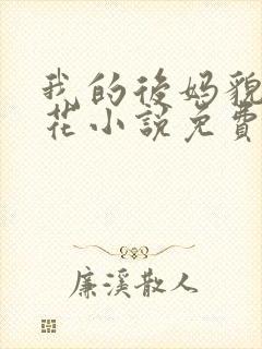 我的后妈貌美如花小说免费阅读全文无弹窗封面