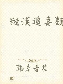 糙汉追妻类古言封面