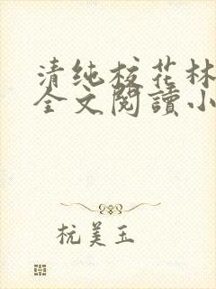 清纯校花林思琪全文阅读小说