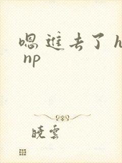嗯 进去了 h np封面