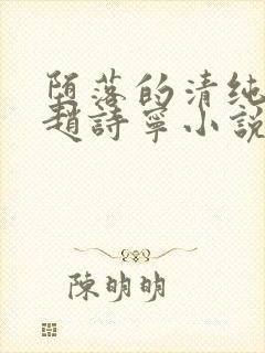 堕落的清纯校花赵诗宁小说笔趣阁下载封面