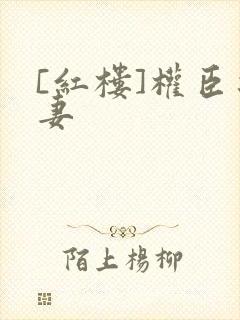 [红楼]权臣之妻封面