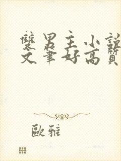 双男主小说推荐文笔好高质量完结封面