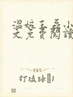 温婉王磊小说全文免费阅读无弹窗